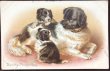 画像2: Postcard　犬の家族　Dorothy Travers Pope 1910年 (2)