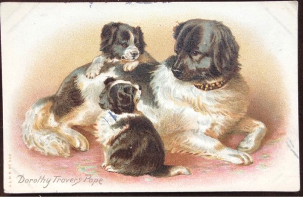 画像2: Postcard 犬の家族 Dorothy Travers Pope 1910年 (2)