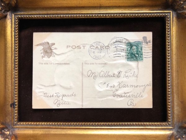 画像4: Postcard ダックスンド犬 1907年 (4)