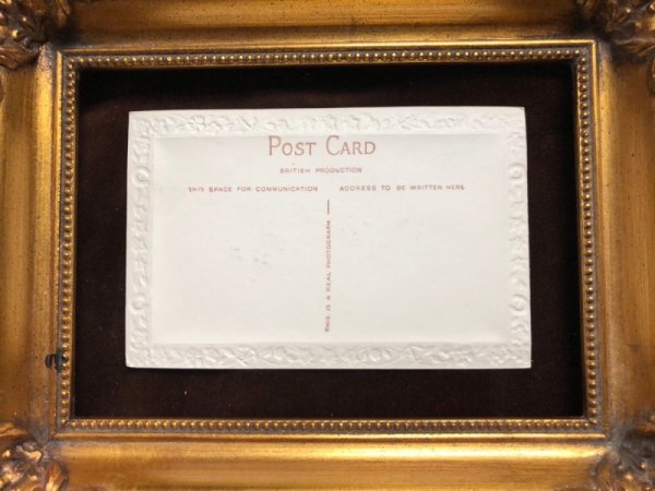 画像4: Postcard 3匹のワイヤーフォックス犬 (4)