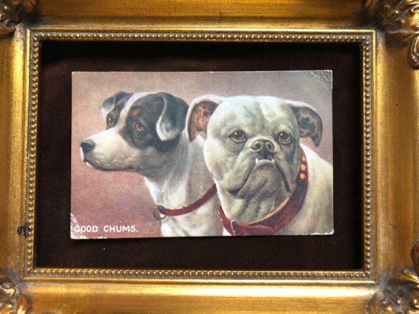 画像2: Postcard ブルドッグとテリア犬 1920年 (2)