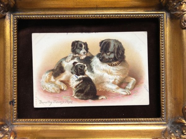 画像3: Postcard 犬の家族 Dorothy Travers Pope 1910年 (3)
