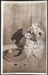 画像2: Postcard　ホームレスの犬　テリア犬 (2)