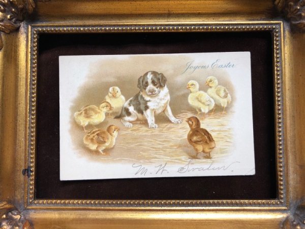 画像3: Postcard 子犬とヒヨコ Helena Maguire 1904年 (3)