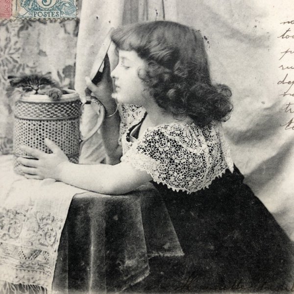 画像1: Postcard　猫と女の子　フランス1904年 (1)