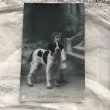画像2: Postcard　大きな犬と女の子 (2)