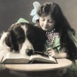 画像1: Postcard　大きな犬と女の子　イギリス1912年 (1)