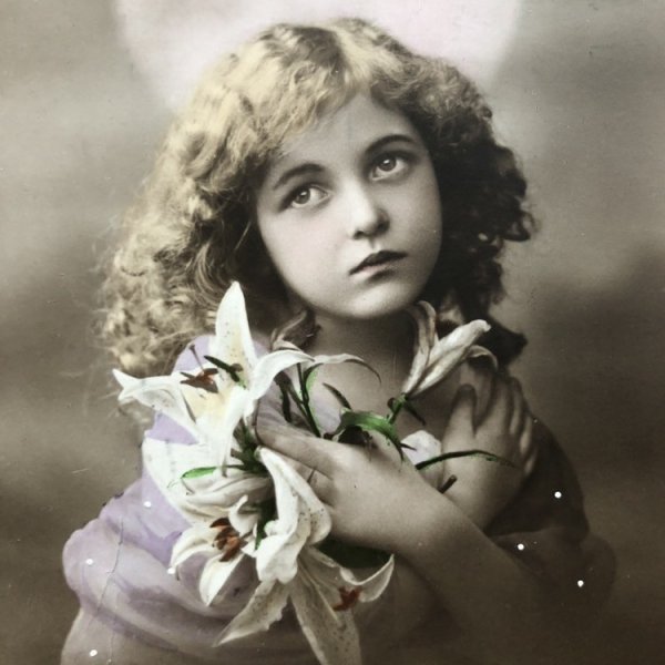 画像1: Postcard　白百合のお花と祈る女の子 (1)