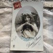 画像2: Postcard　お花籠と女の子　フランス1910年 (2)