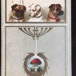 画像2: Postcard　イースター　3匹の犬とキノコ   Helena Maguire (2)
