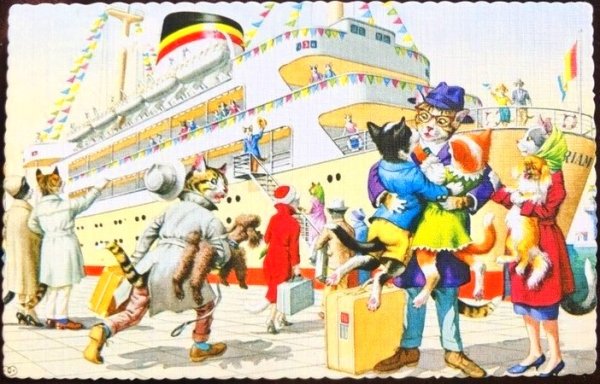 画像1: Postcard　船に乗船する猫たち　Mainzer cat　未使用 (1)