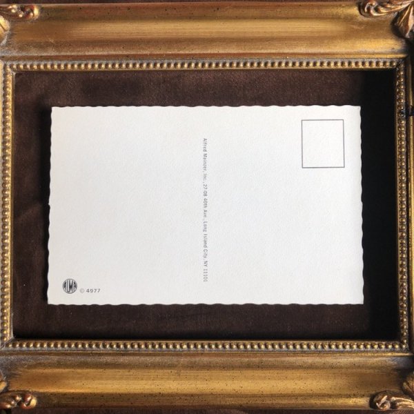 画像3: Postcard 海遊びに行く猫たち Mainzer cat 未使用 (3)