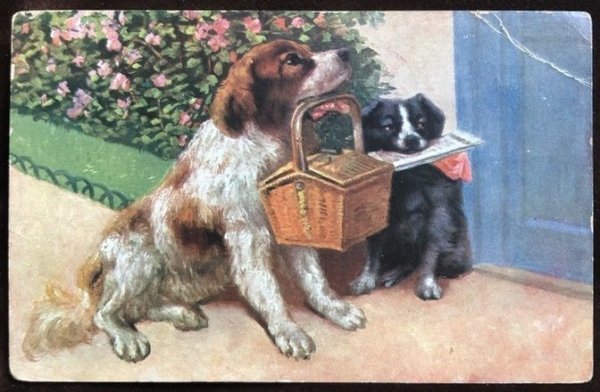 画像1: Postcard　バスケットと新聞を届ける犬たち　アメリカ1908年 (1)