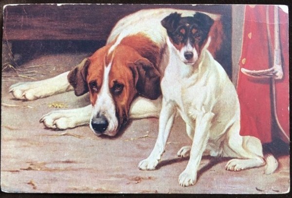 画像1: Postcard　ジャックラッセルテリア犬とセントバーナード犬 (1)