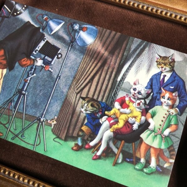 画像2: Postcard 写真館での家族写真 猫 Mainzer cat 未使用 (2)