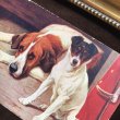画像2: Postcard　ジャックラッセルテリア犬とセントバーナード犬 (2)