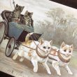 画像2: Postcard　猫車　Helena Maguire　アメリカ1905年 (2)