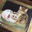 画像2: Postcard　クリスマス　2匹の猫　Helena Maguire  (2)