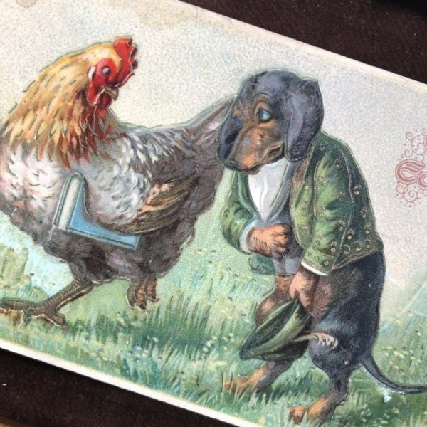 画像2: Postcard イースター ニワトリに挨拶をするダックスフンド犬 (2)