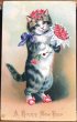 画像1: Postcard　New Year　手紙と薔薇のお花を持つ猫ちゃん　1909年　 (1)