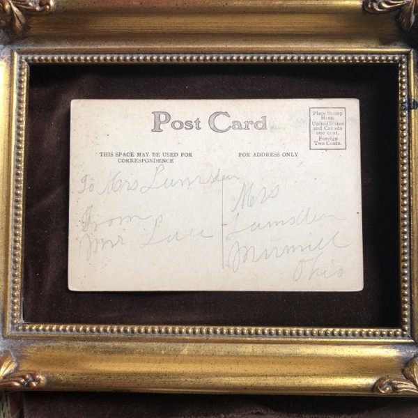 画像3: Postcard ジャックラッセルテリア犬とセントバーナード犬 (3)