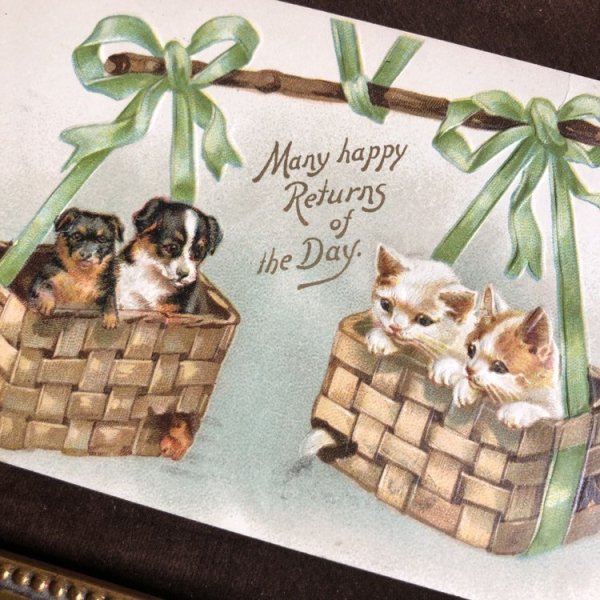 画像2: Postcard　子猫と子犬の天秤　リボン　Helena Maguire　1911年 (2)