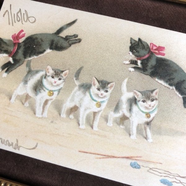 画像2: Postcard　猫の軽業師　3匹越え　Helena Maguire (2)