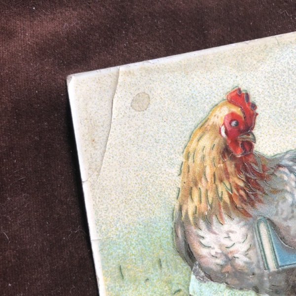 折れ、割れあり