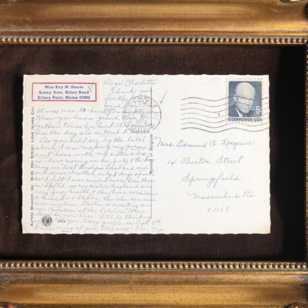 画像3: Postcard 飛行機に乗る猫たち Mainzer cat  (3)