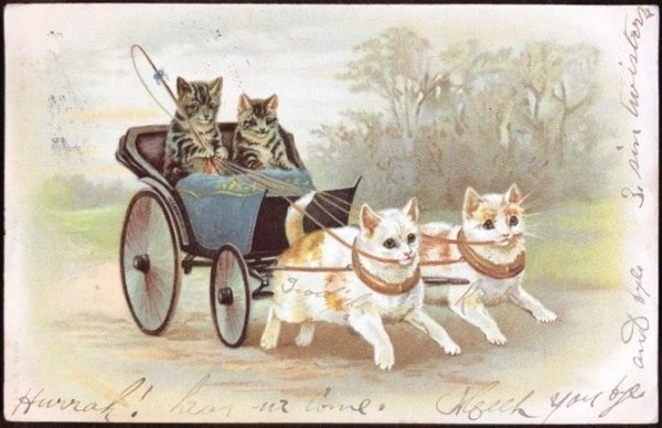 画像1: Postcard　猫車　Helena Maguire　アメリカ1905年 (1)