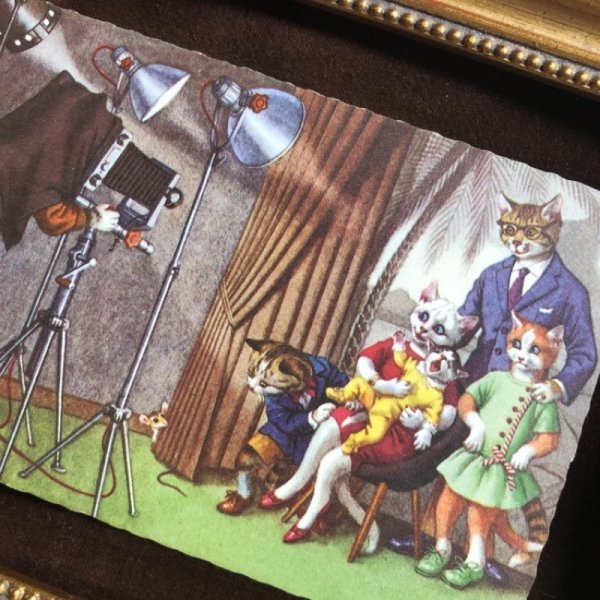 画像2: Postcard 写真館で家族写真を撮影する猫 Mainzer cat 未使用 (2)
