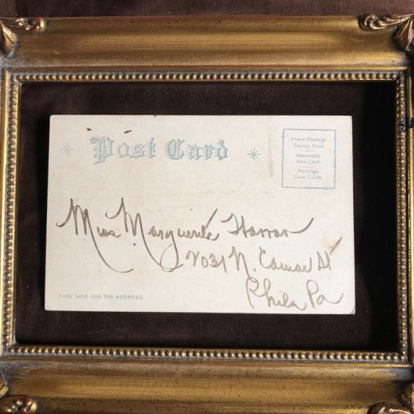 画像3: Postcard　猫の軽業師　3匹越え　Helena Maguire (3)