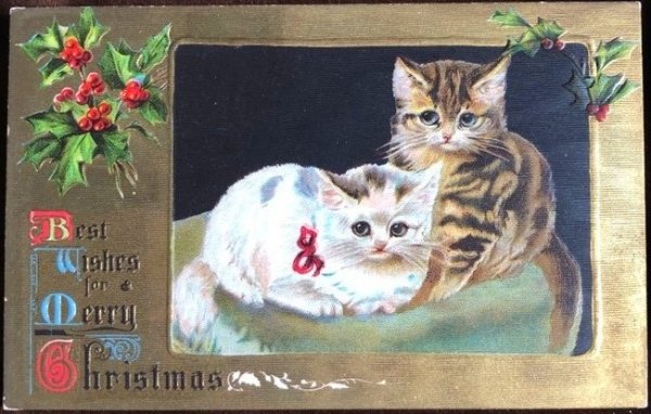 画像1: Postcard　クリスマス　2匹の猫　Helena Maguire  (1)