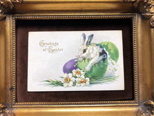 画像2: Postcard イースター 卵から産まれたウサギさん (2)