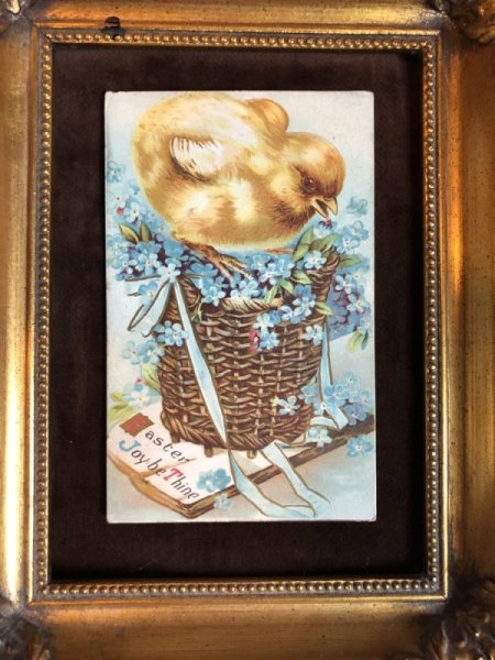画像2: ▼SALE 500▼ Postcard イースター ヒヨコと忘れな草のお花のバスケット 1911年 (2)