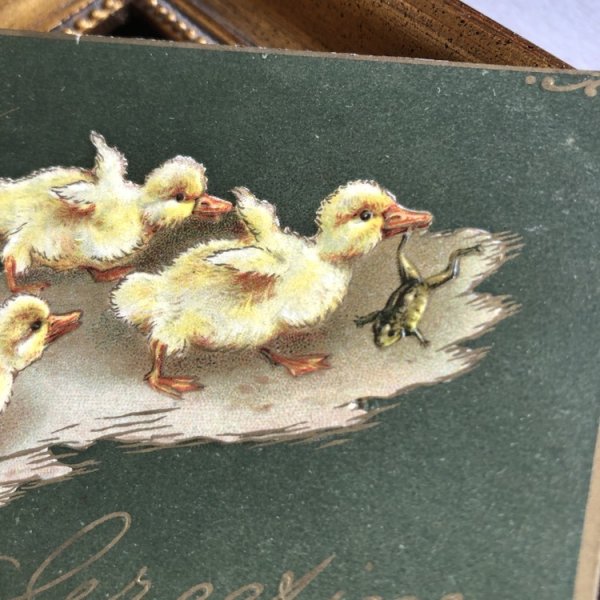 画像2: Postcard イースター カエルを咥えて走るアヒルの赤ちゃん イギリス1909年 (2)