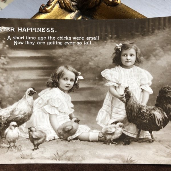 画像2: Postcard イースター  小さな姉妹とニワトリ家族 写真 (2)