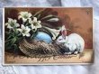 画像2: ▼SALE 500▼ Postcard　イースター　白いウサギさんと青い卵　白百合のお花 (2)