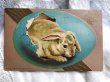 画像3: Postcard　イースター　青い卵から産まれたウサギさん　アメリカ1909年 (3)