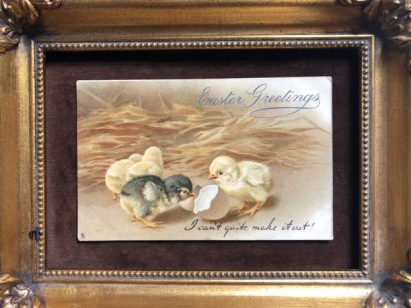 画像2: ▼SALE 500▼ Postcard イースター 生まれたてのヒヨコさん (2)