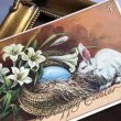 画像1: ▼SALE 500▼ Postcard　イースター　白いウサギさんと青い卵　白百合のお花 (1)