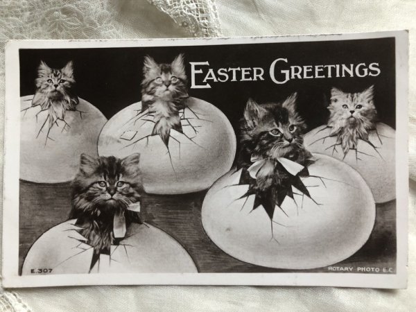 画像2: Postcard  イースター 卵から産まれた猫たち イギリス1907年 (2)