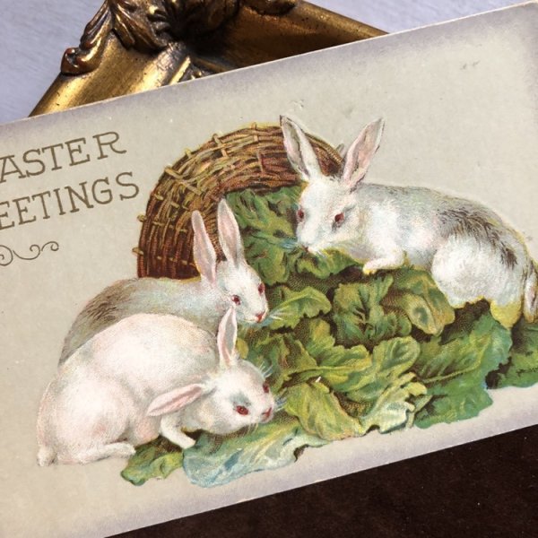 画像1: ▼SALE 500▼　Postcard イースター　お食事中の3匹の白兎さん　ウサギ (1)