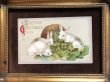 画像2: ▼SALE 500▼　Postcard イースター　お食事中の3匹の白兎さん　ウサギ (2)