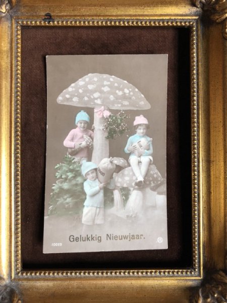 画像2: Postcard 新年祝い New Year キノコと子どもたち 写真 オランダ1913年 (2)