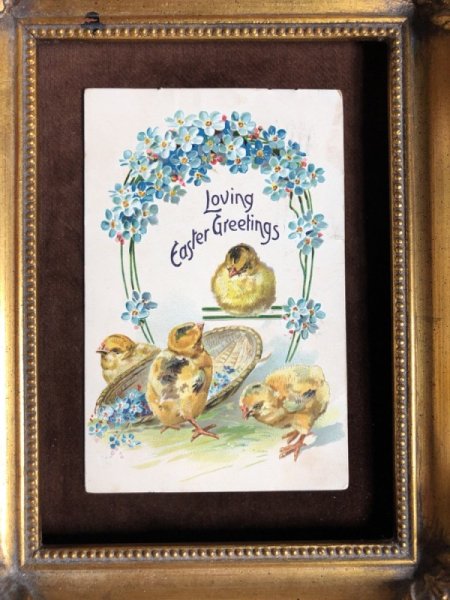 画像2: ▼SALE 500▼ Postcard イースター 4羽のヒヨコ  忘れな草のおお花  1908年 (2)
