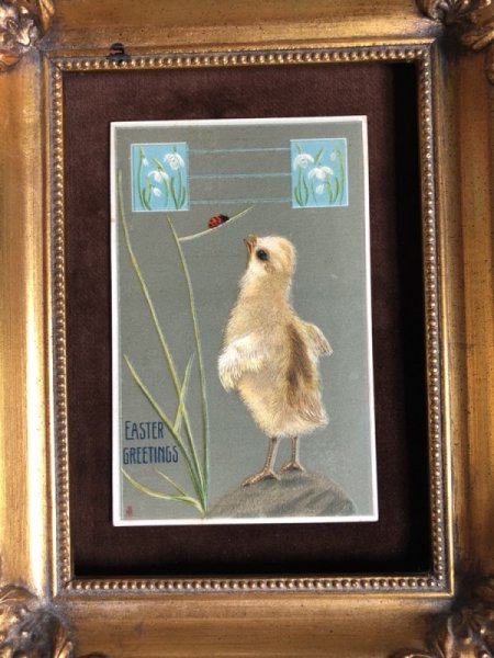 画像2: Postcard  イースター テントウムシを見つめるヒヨコ  1907年 (2)