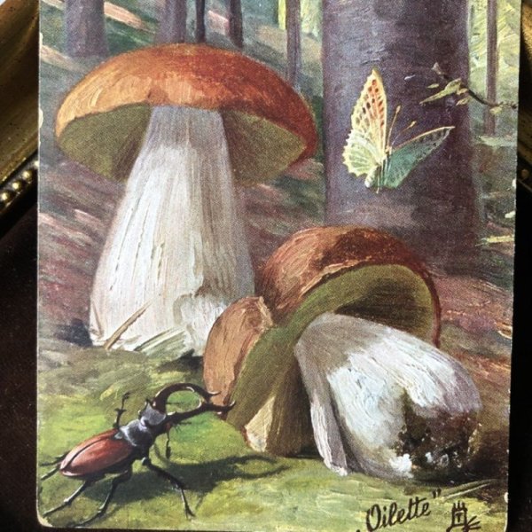 画像1: Postcard　大きなキノコとクワガタムシと蝶々 (1)