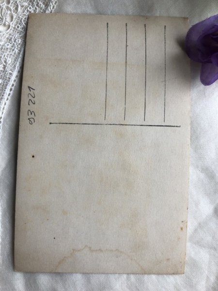 画像4: Postcard  フランスの旗とヤドリギを持つ女の子 未使用 (4)