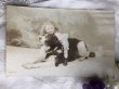 画像2: Postcard 　大きな犬に乗る女の子　フランス1906年 (2)